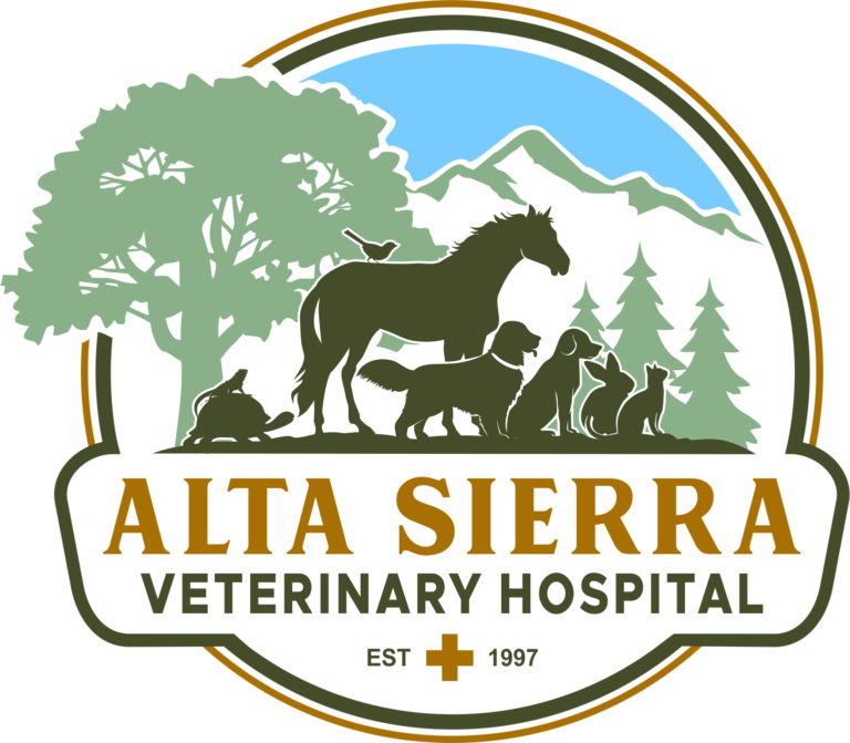 Alta Sierra Veterinary Hospital | Veterinarian in the White Mountains